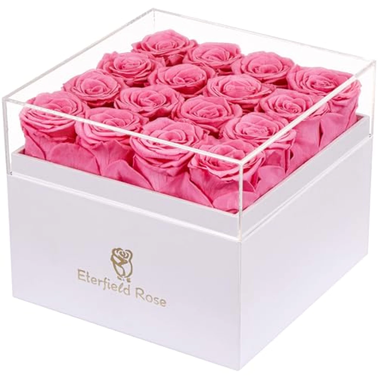 Eterfield Forever Flowers Preserved Flowers for Delivery Prime 16-Piece Pink Roses