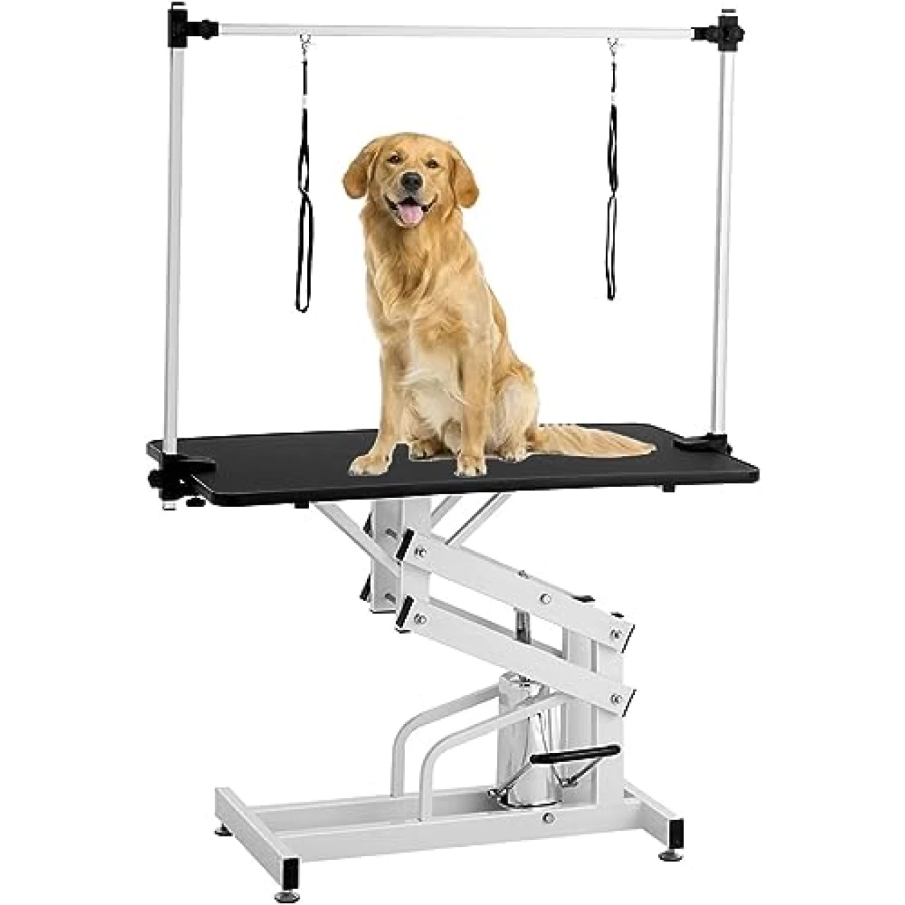 Hydraulic Dog Grooming Table