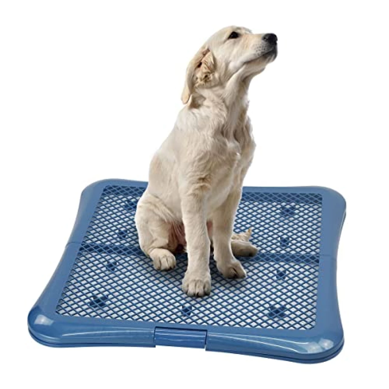 Petphabet Training Pad Holder Floor Protection Dog Pad Holder Mesh Training Tray (L-24&quot;x24&quot;)
