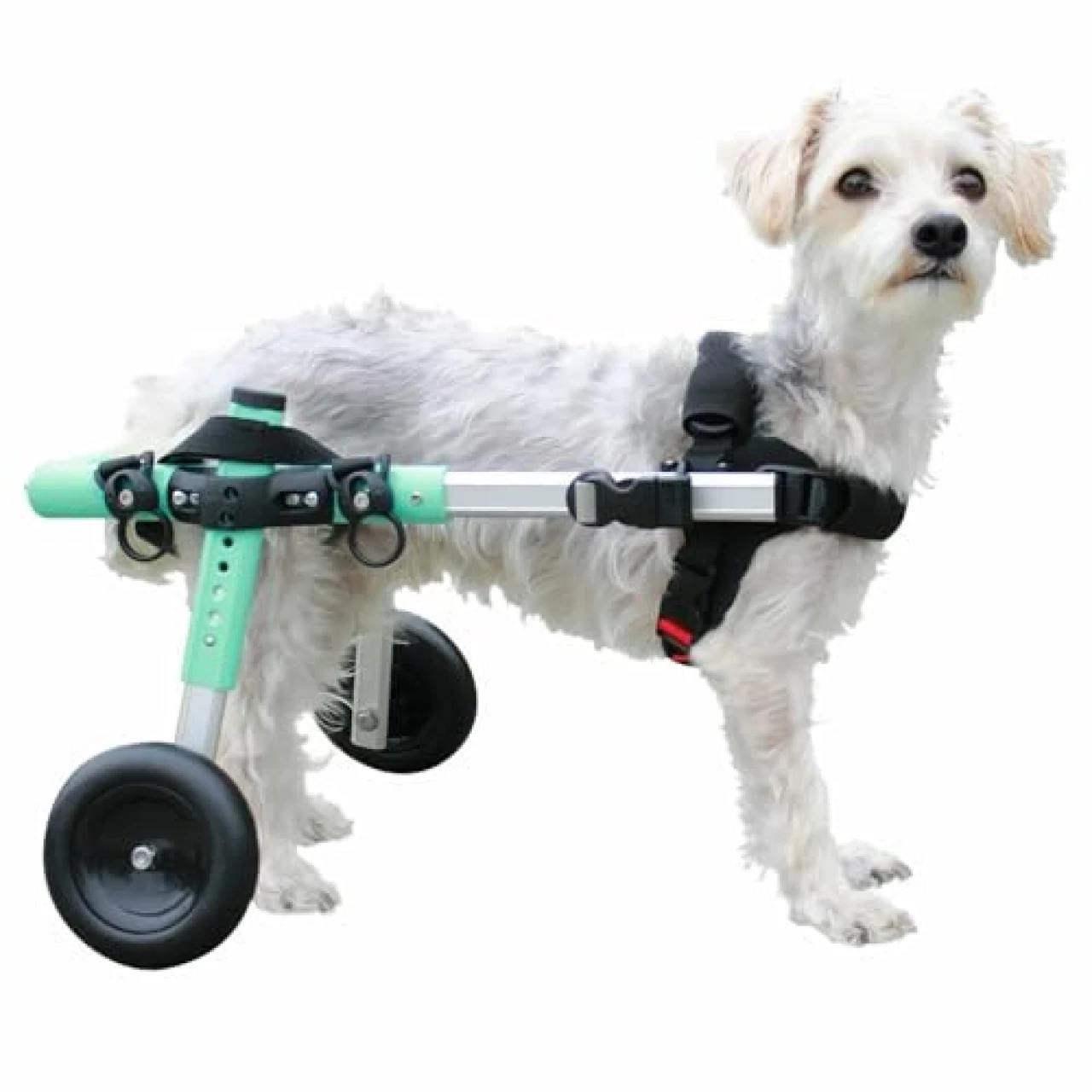 Walkin&rsquo; Wheels Small Dog Wheelchair