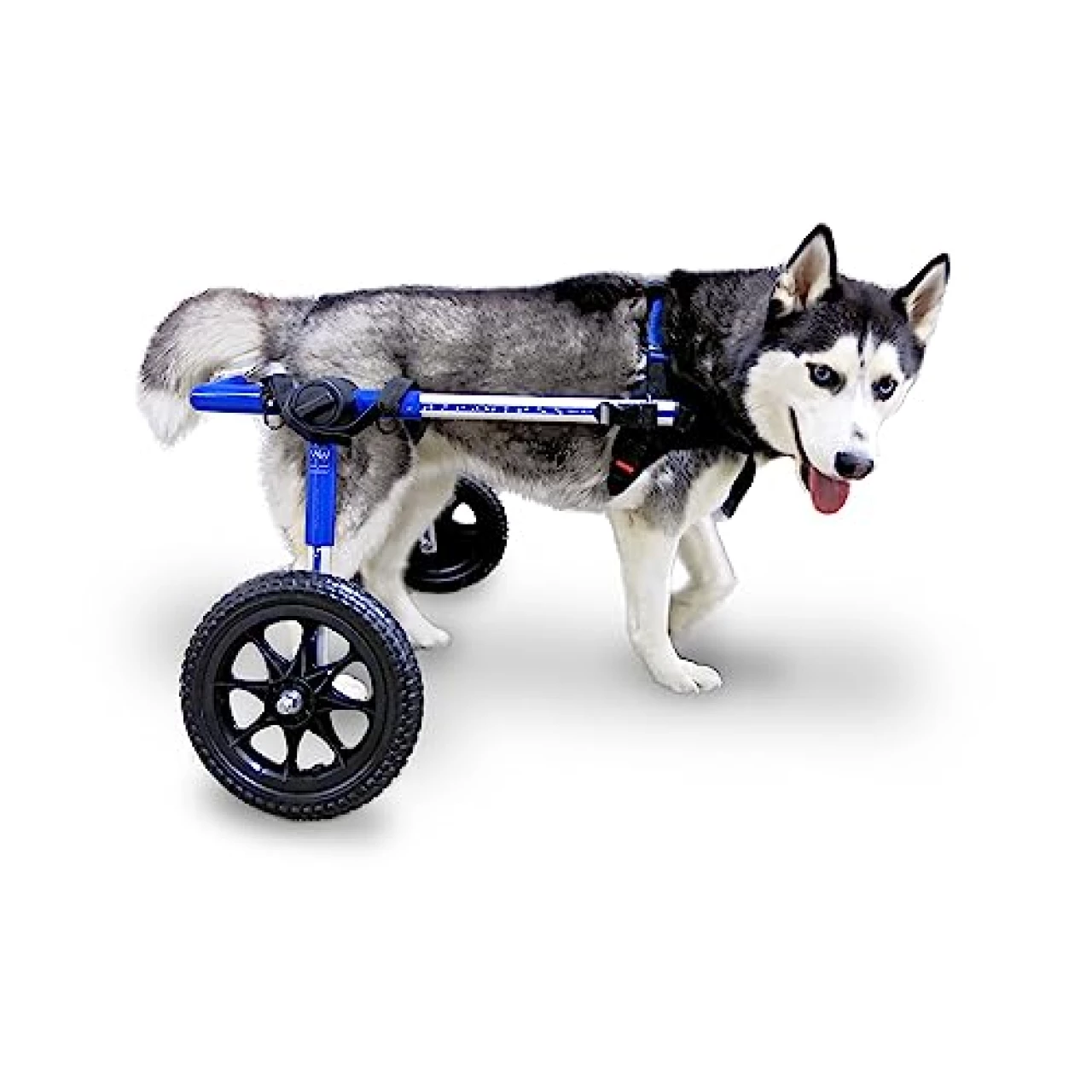 Walkin&rsquo; Wheels Dog Wheelchair - for Med/Large Dogs 50-69 lbs - Veterinarian Approved - Dog Wheelchair for Back Legs