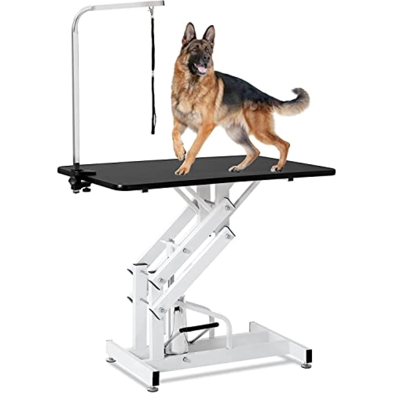 Hydraulic Dog Grooming Table for Small/Large Dogs, Heavy Duty Professional Pet Grooming Table