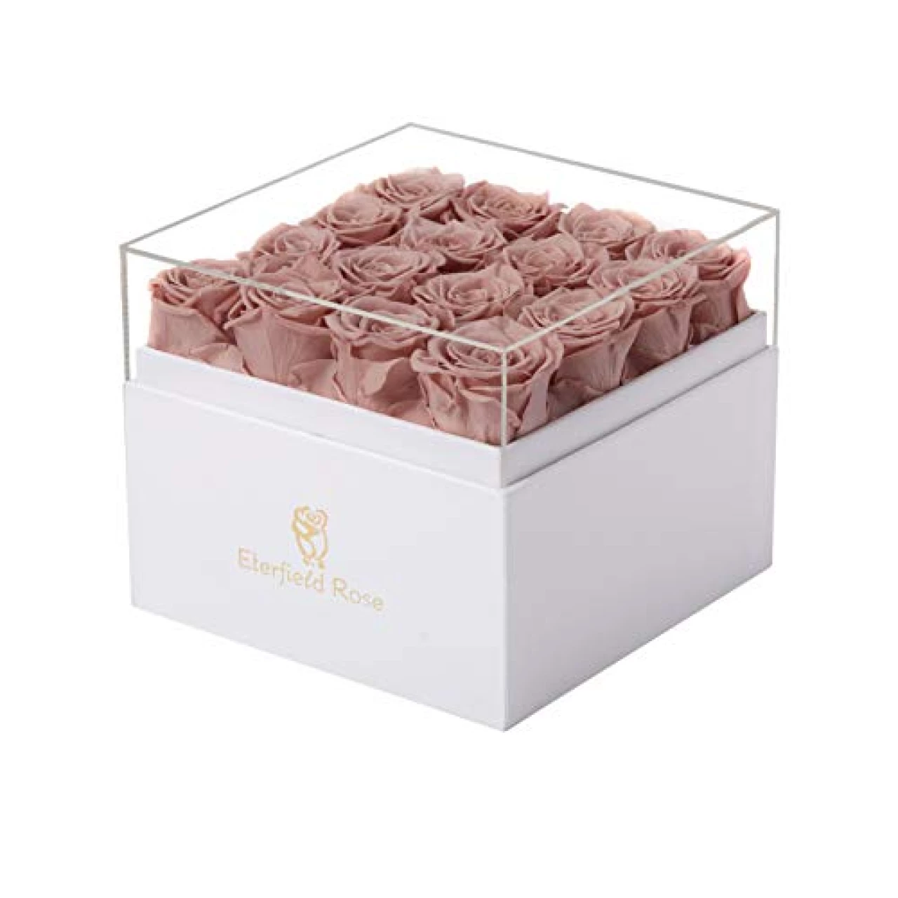 Eterfield Preserved Roses Preserved Flowers for Delivery Prime 16-Piece Real Roses That Last a Year Flower Gifts for Women Valentines Flowers for Girlfriend Gifts for Mother (Dusty Pink)