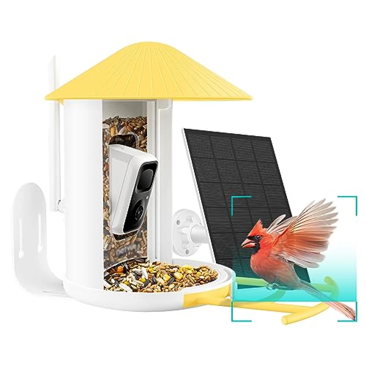 NETVUE Birdfy AI - Smart Bird Feeder with Camera (Yellow)