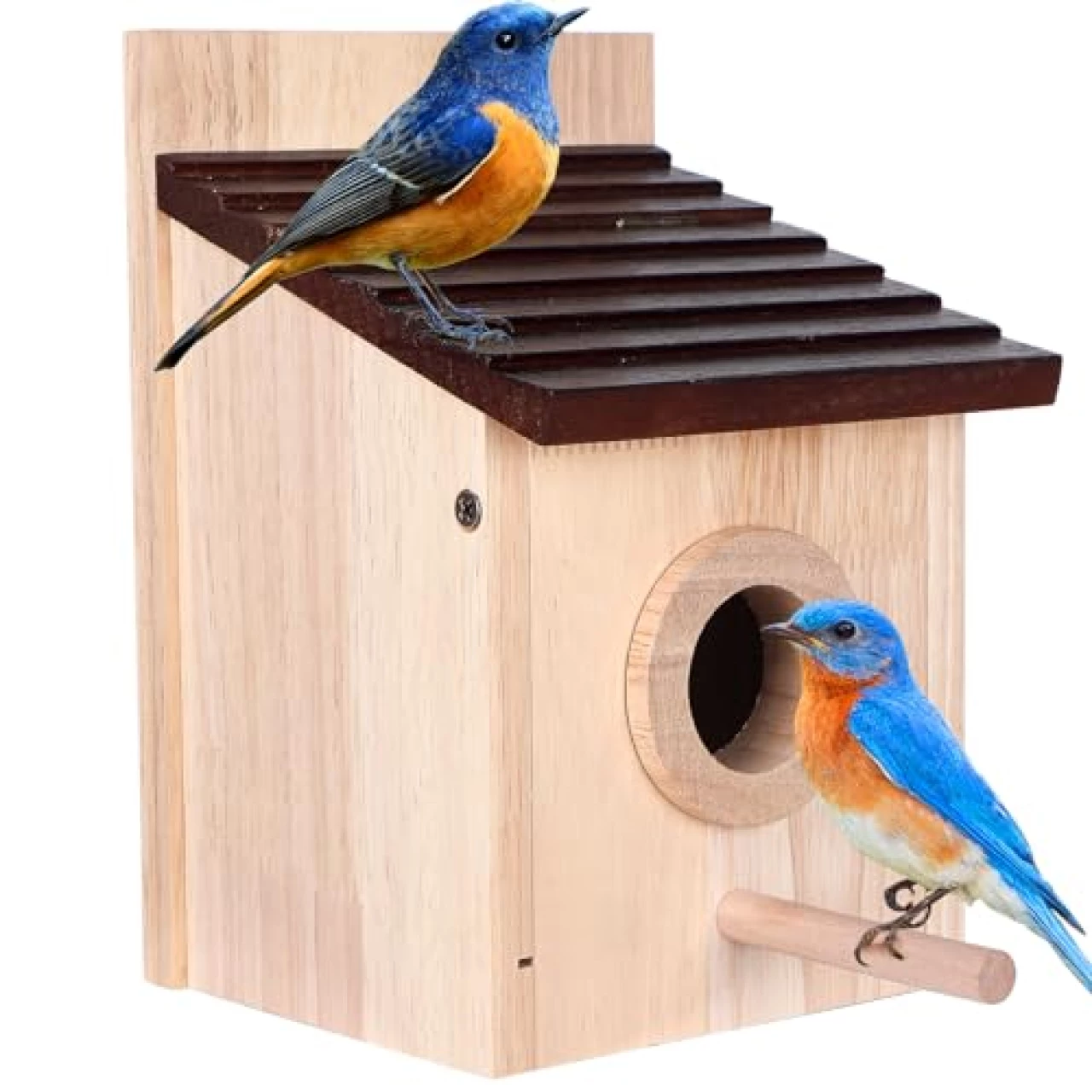 Bird House for Outside with Predator Guard