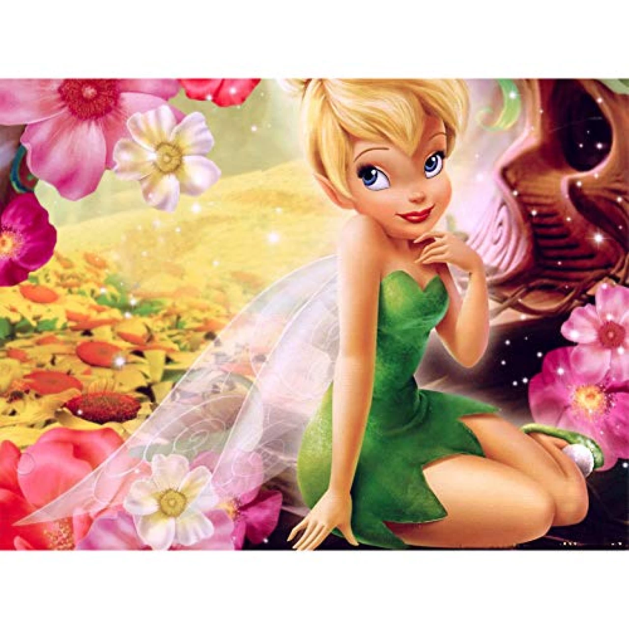 DIY 5D Wonderful Fairy Tinkerbell Diamond Painting Kits Disney for Adults/Rhinestone Paste Painting/Diamond Art Beads-with Round Diamonds and Making Tools/for Wall Decoration 16X20 inch