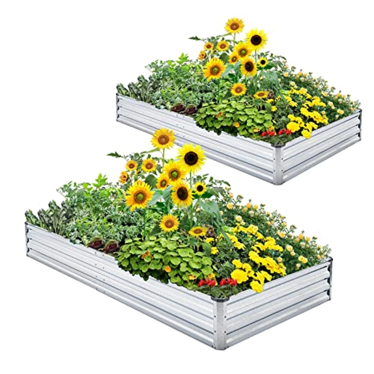 Mofesun Galvanized Raised Garden Bed 2-Pack - Metal Raised Bed Garden Kit 4&rsquo;x8&rsquo;x1&rsquo; for Flower Planters, Vegetables Herb