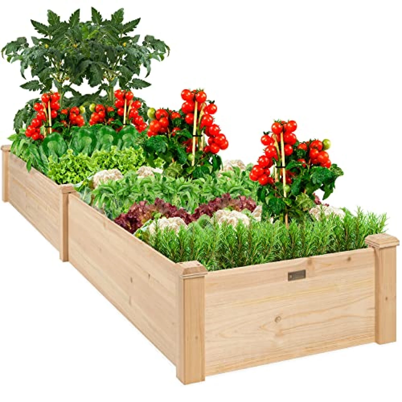 Best Choice Products 8x2ft Outdoor Wooden Raised Garden Bed Planter