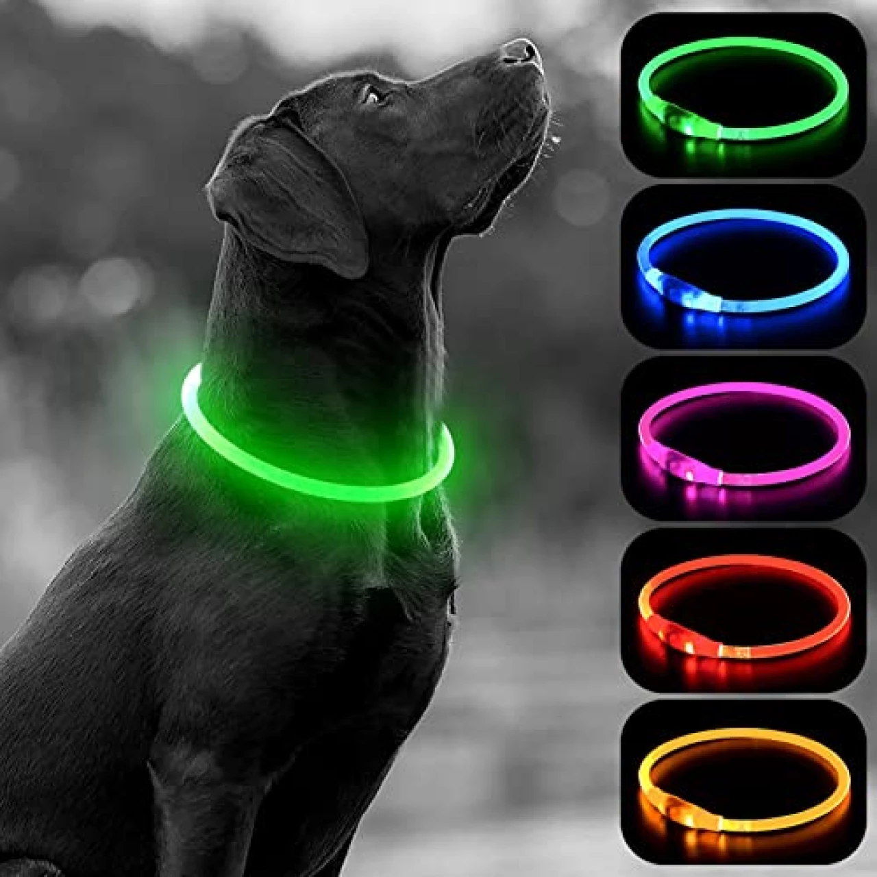 HIGO LED Dog Collar - USB Rechargeable Light Up Dog Collars Glow in The Dark - Waterproof LED Dog Necklace Light for Night Walking (Green)