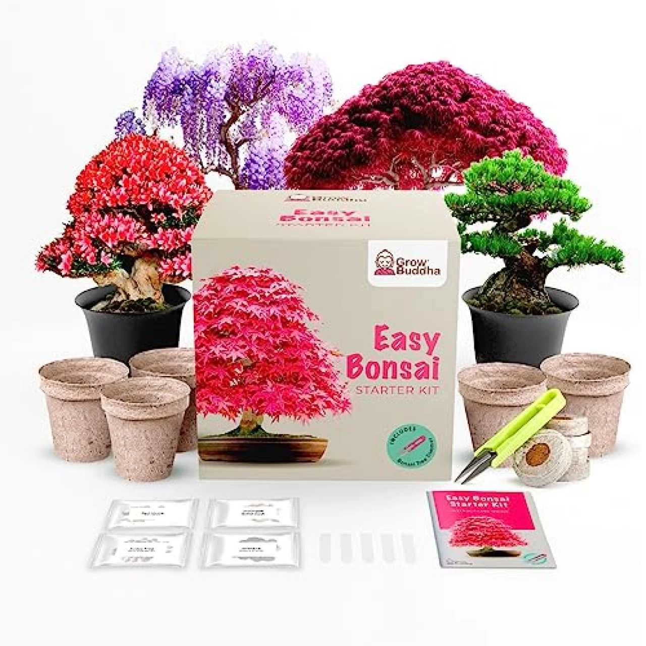 Grow Your Own Bonsai Tree kit | Easily Grow 4 Types of Bonsai Tree with Our Complete Beginner Friendly Bonsai Starter kit | Bonzai Tree | Christmas Gift Set for Plant Lovers (Bonsai Kit)