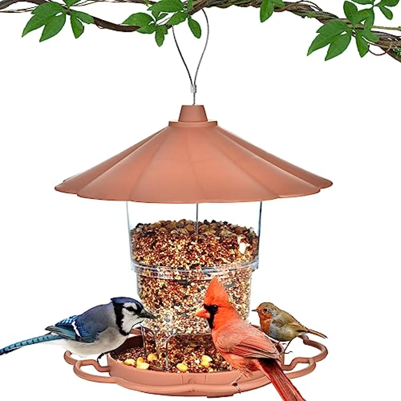 LBTING Bird Feeder for Outside, Squirrel Proof Wild Bird Feeder