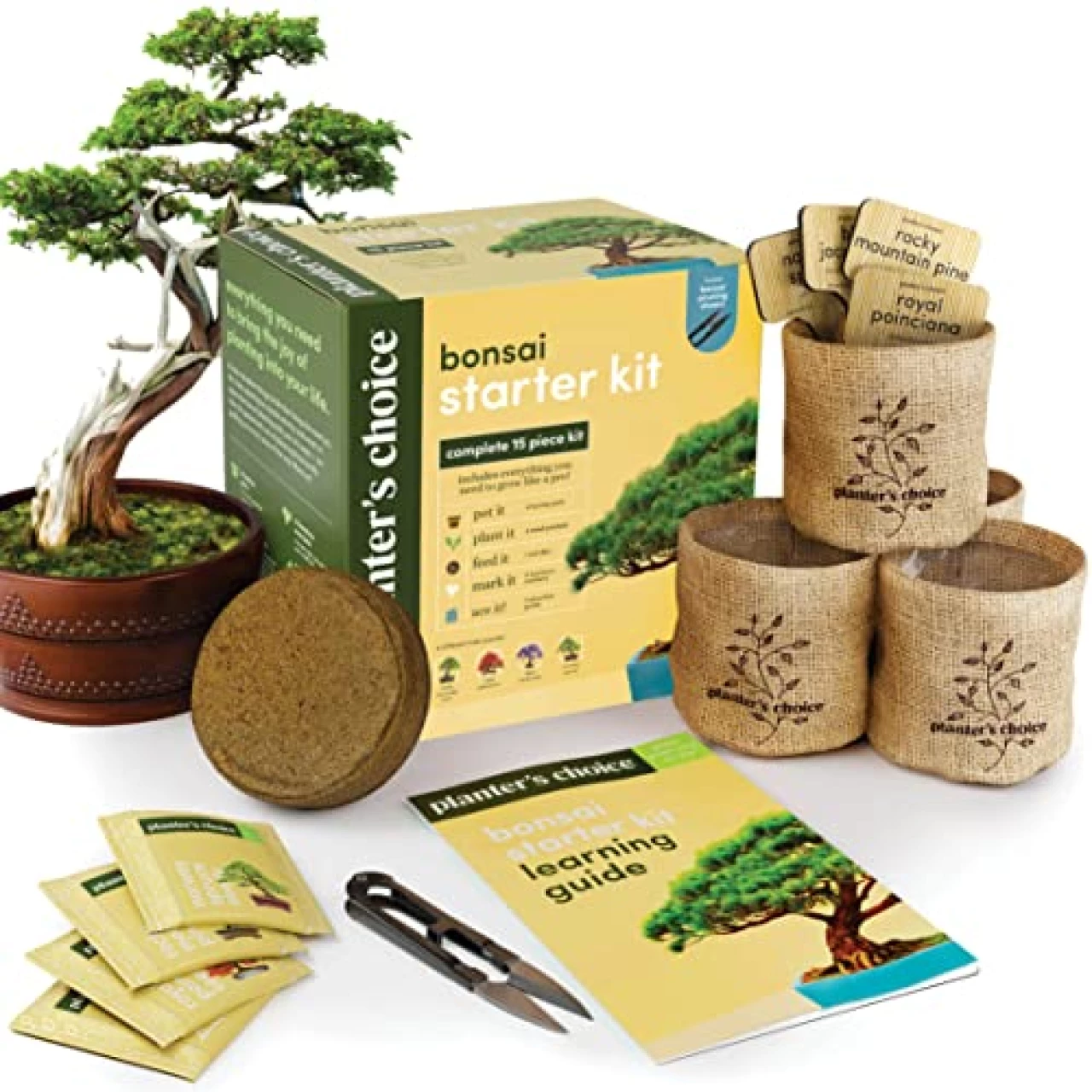 Bonsai Starter Kit - Gardening Gift for Women &amp; Men - Bonsai Tree Growing Garden Crafts Hobby Kits for Adults, Unique DIY Hobbies for Plant Lovers - Unusual Christmas Gifts Ideas, or Gardener Mother