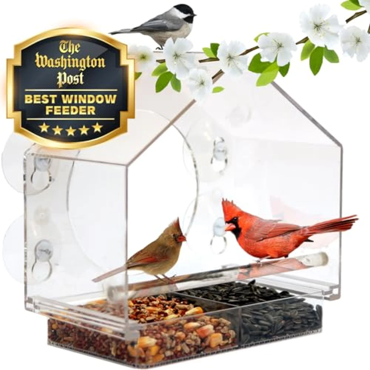 Nature Anywhere Transparent Acrylic Window Bird Feeder - Enhanced Suction Grip, Bird Watching for Cats, Easy-to-Clean, Outdoor Birdhouse - Perfect for Garden, Yard, &amp; Elderly Viewing