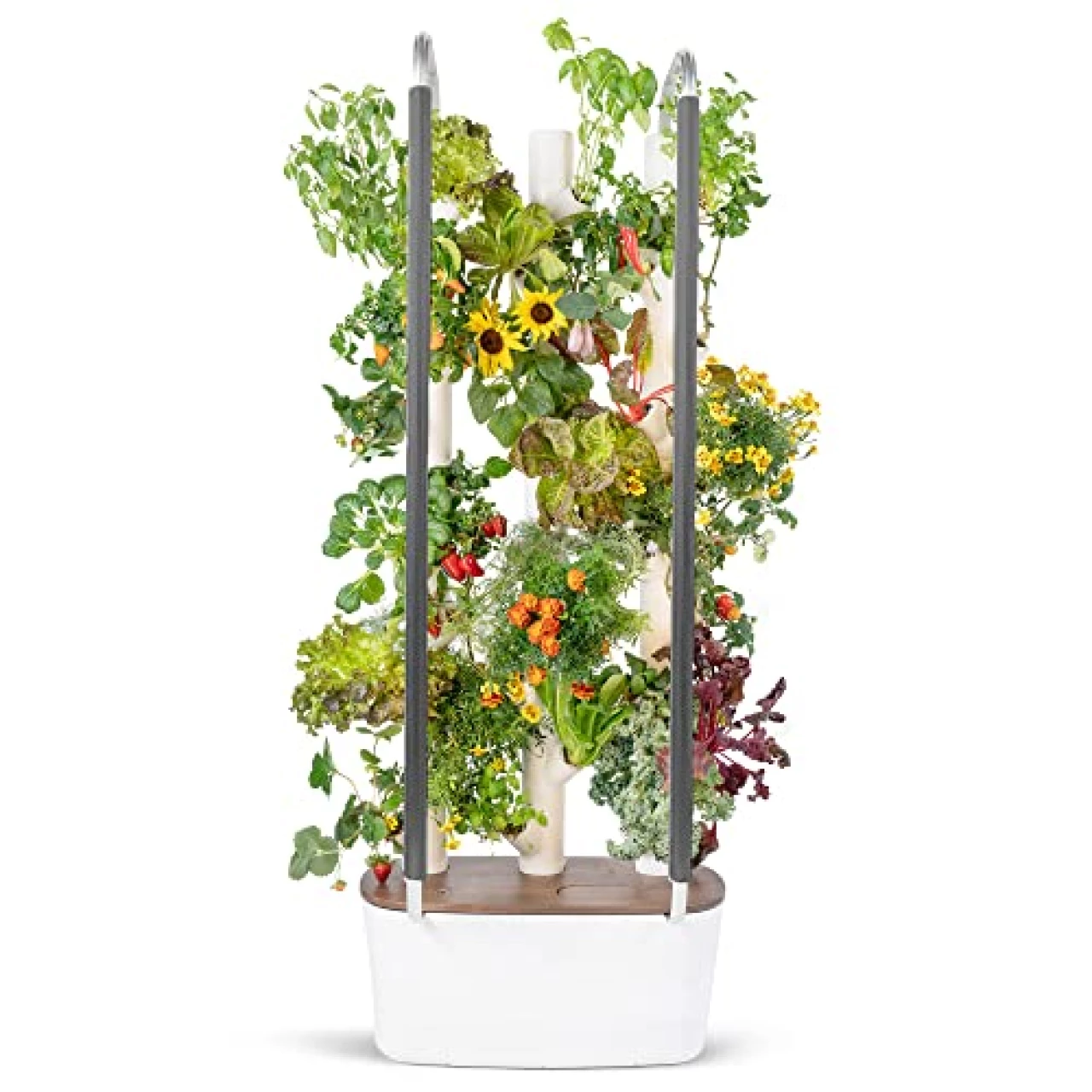 Gardyn 3.0 Hydroponics Growing System &amp; Vertical Garden Planter | Indoor Smart Garden| Includes 30 Non-GMO Indoor Plants, Herbs &amp; Vegetables &amp; LED Grow Lights for Your Home Indoor Gardening System