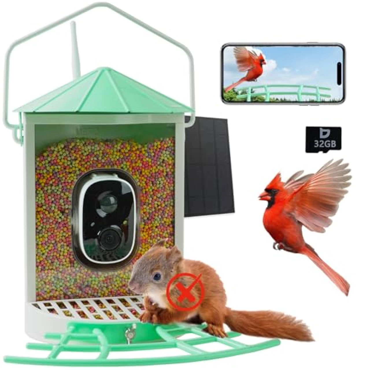 Birdkiss Bird Feeder Camera Smart: Wireless Bird House with Solar Panel - Motion Activated &amp; Watching HD Bird Video - Metal Squirrel Proof Birdfeeder - Mint Green