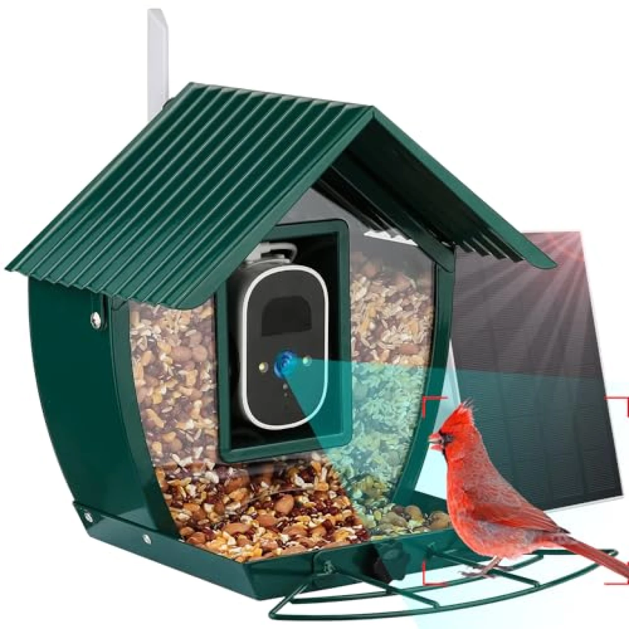Bird Feeder with Camera, 4MP Smart Bird Feeder with Camera Wireless Outdoor with APP, Solar Powered, Color Night Vision, 10000+ AI Identify Bird Species, Ideal Gift for Bird Lover - Metal Shell
