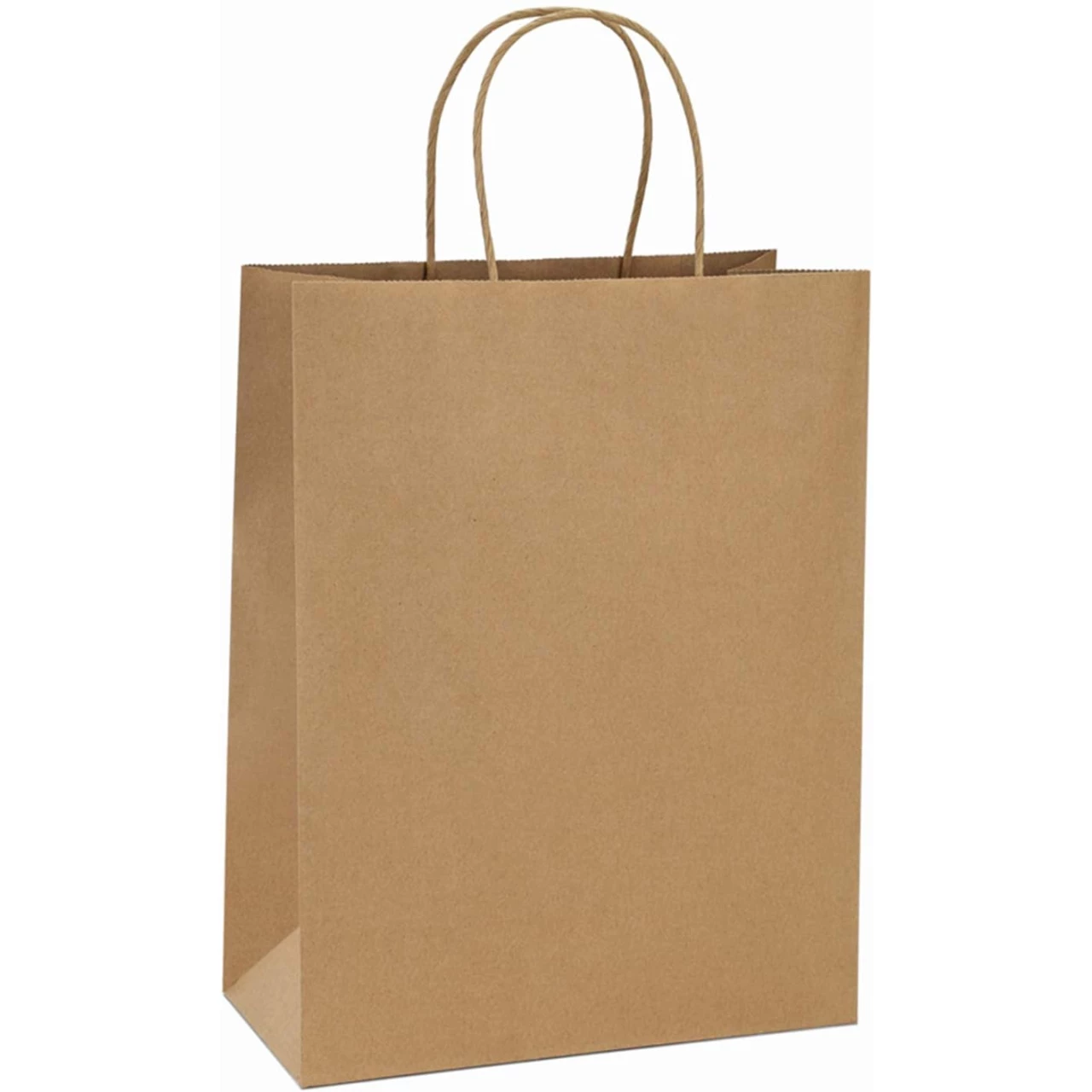 BagDream 10x5x13 Kraft Shopping Bags 100Pcs Brown Paper Bags Paper Gift Bags, Merchandise Bags, Retail Bags, Party Bags, 100% Recycled Paper Bags with Handles Bulk