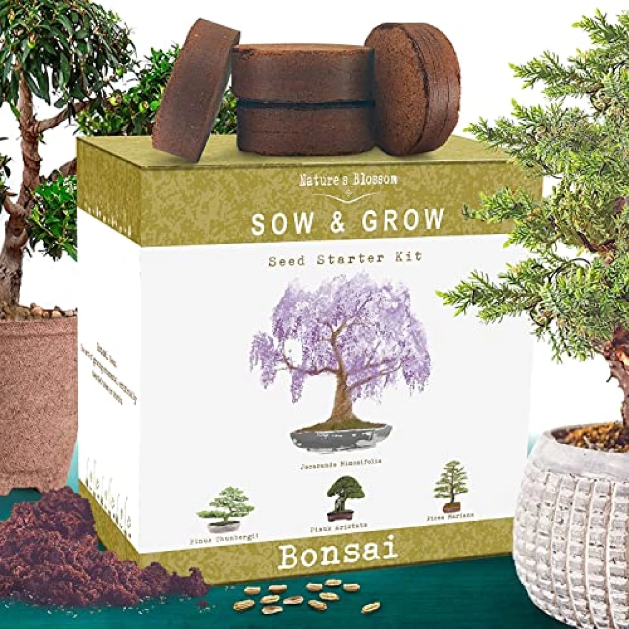 Nature&rsquo;s Blossom Bonsai Tree Kit - Outdoor &amp; Indoor Garden Kit with Tools, 4 Types of Plant Seeds, Pots and Growing Guide