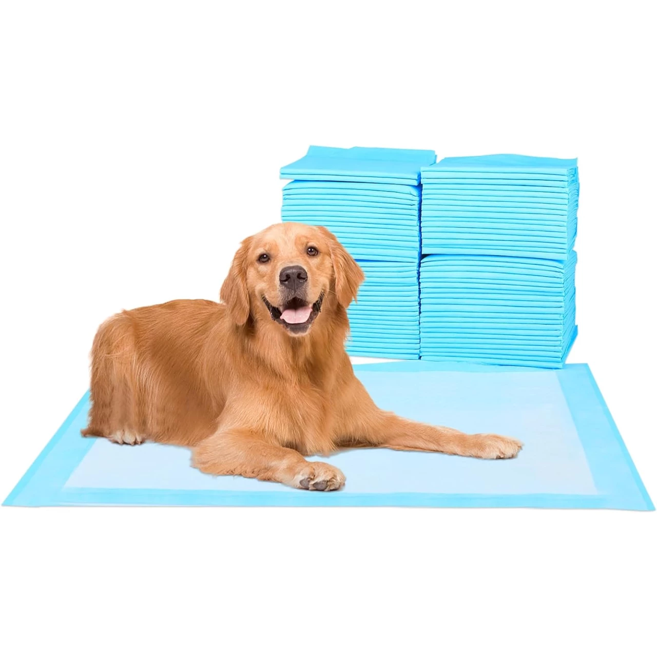 ScratchMe Super-Absorbent Waterproof Dog and Puppy Pet Training Pad, Housebreaking Pet Pad, 50-Count Small-Size, 17.1’’X23.6’’, Blue