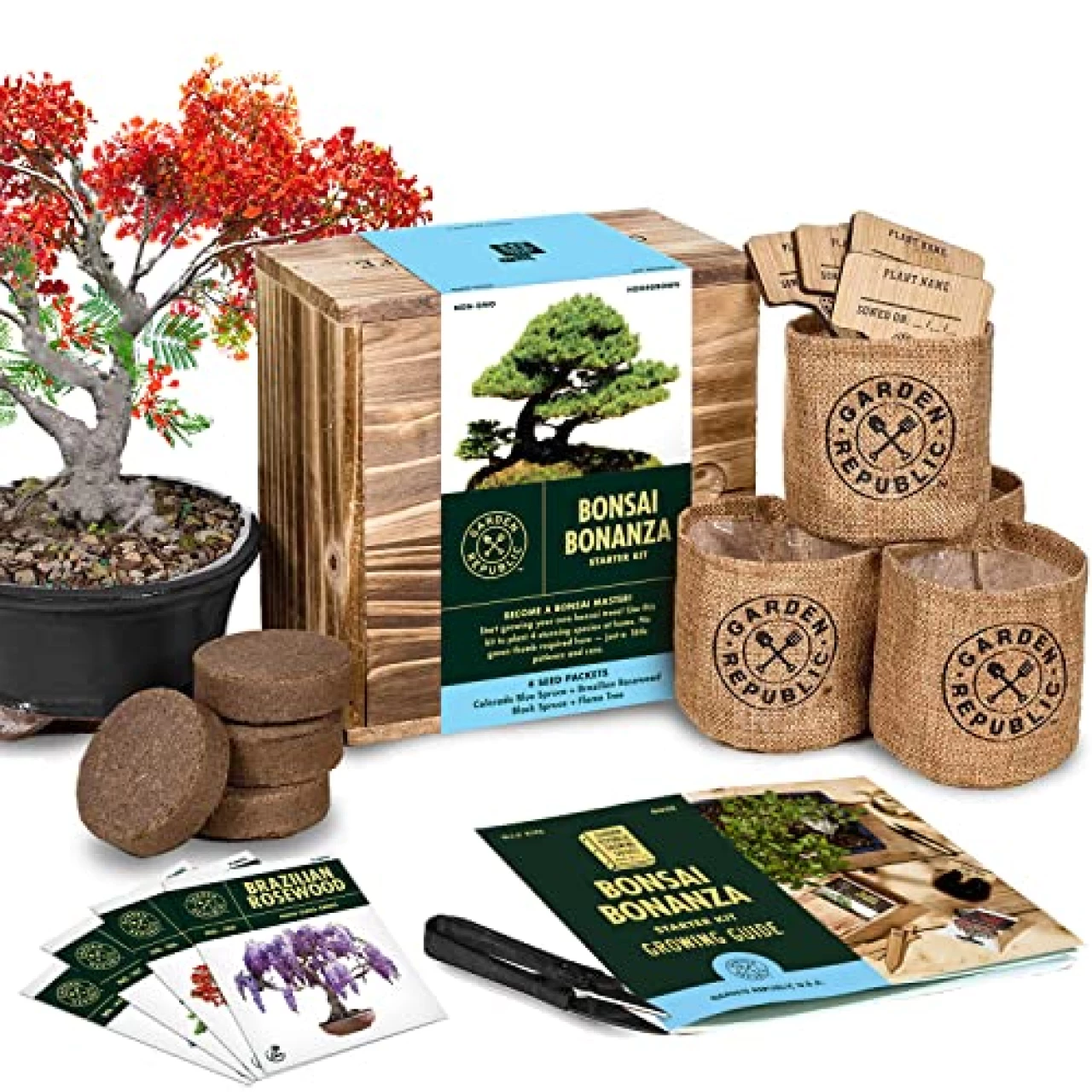 Bonsai Tree Seed Starter Kit - Mini Bonsai Plant Growing Kit