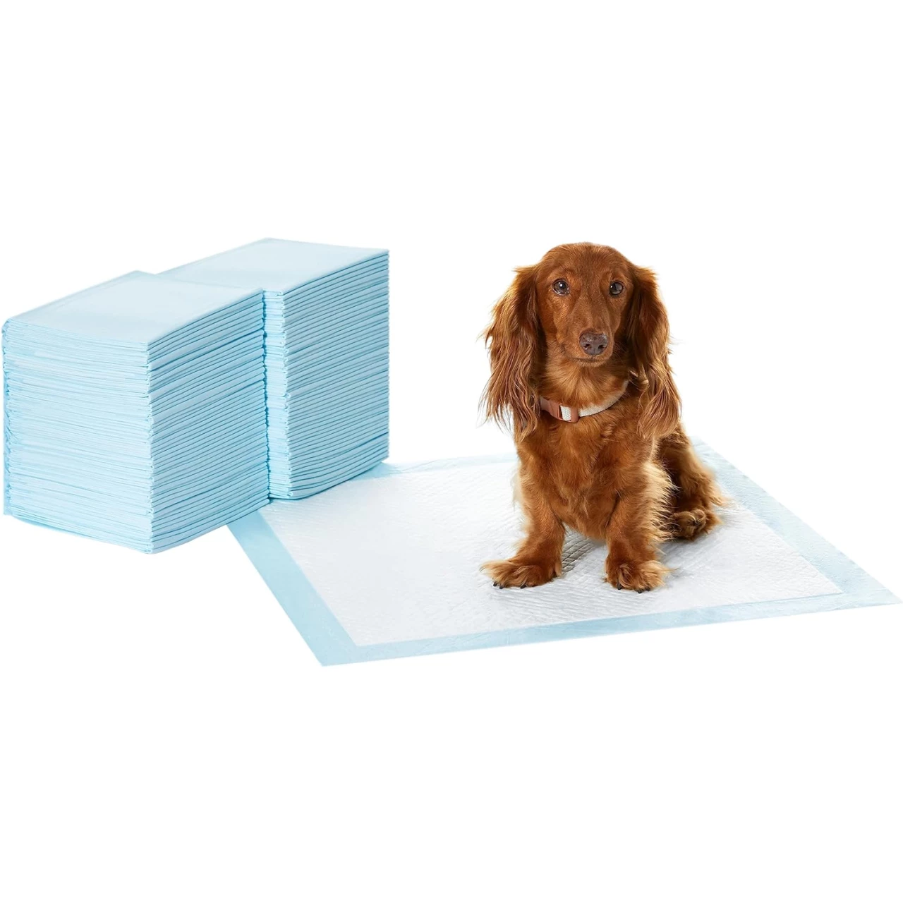 Amazon Basics Dog and Puppy Pee Pads