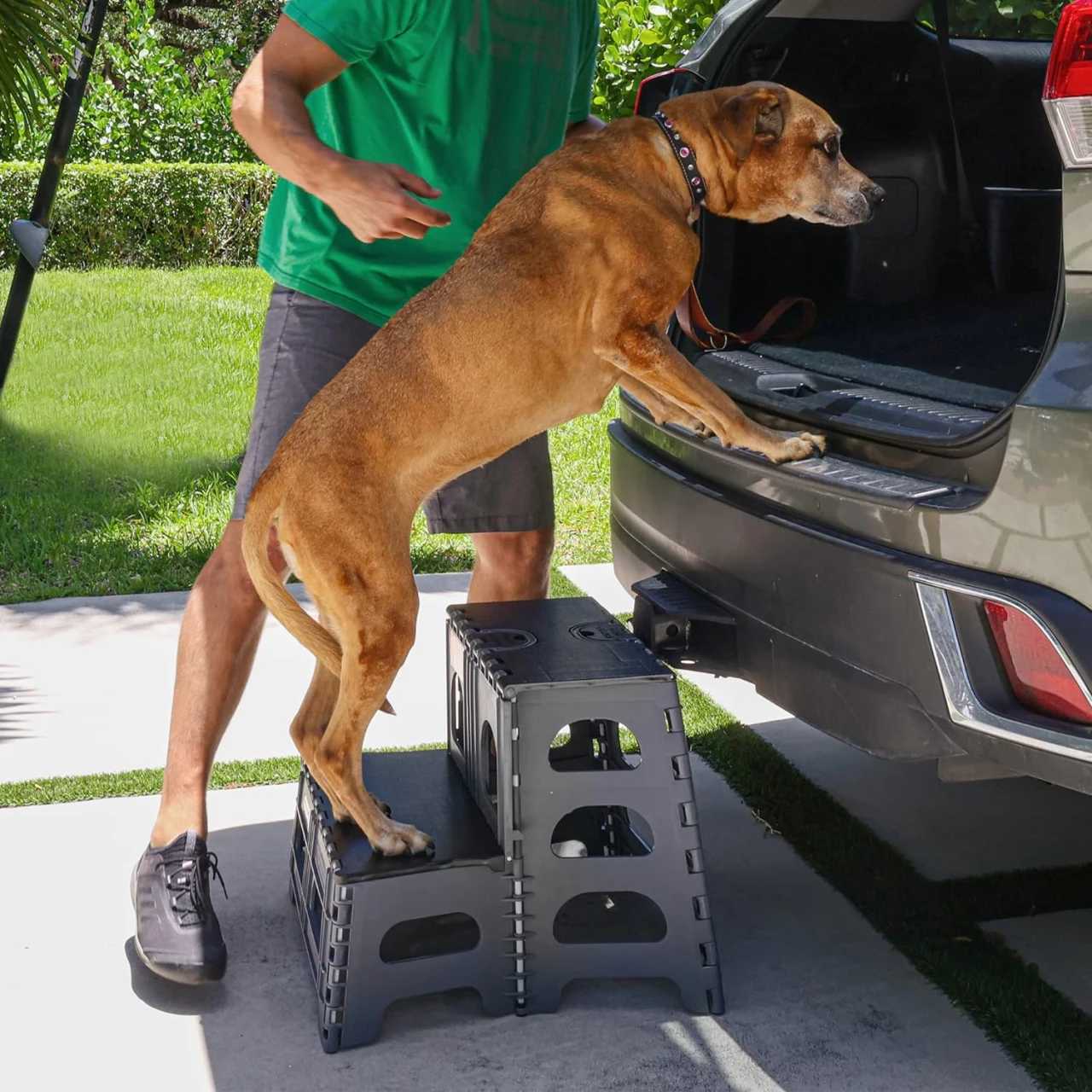 Bee Neat 2 Step Folding Step Stool for Pets and Dogs - Indoor Outdoor Foldable Pet Stairs Ideal for High Bed, Car, SUV &amp; More – Collapsible Step Stool Ladder Supports 200lbs - Gray