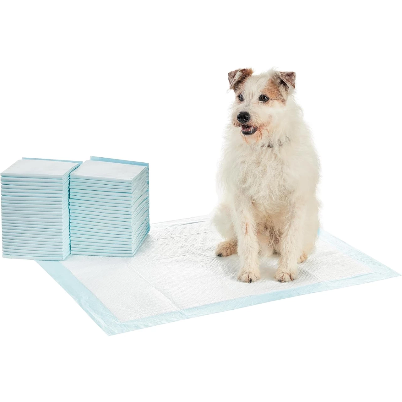 Amazon Basics Dog and Puppy Pee Pads with Leak-Proof Quick-Dry Design for Potty Training, Heavy Duty Absorbency, X-Large, 28 x 34 Inches, Pack of 50, Blue &amp; White