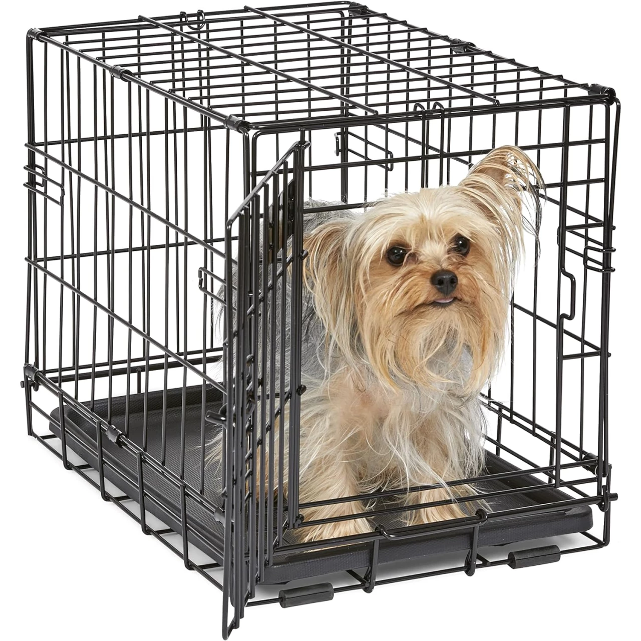 MidWest Homes for Pets Newly Enhanced Single &amp; Double Door iCrate Dog Crate, Includes Leak-Proof Pan, Floor Protecting Feet , Divider Panel &amp; New Patented Features