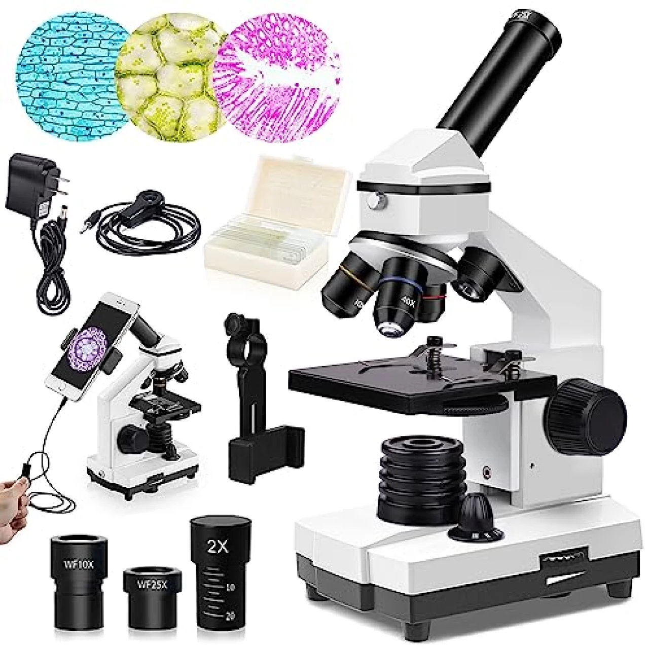 PalliPartners Powerful Biological Microscopes for School Laboratory Home Education,100X-2000X Microscopes for Kids Students Adults, with Microscope Slides Set, Phone Adapter, White (SWXWJ-1)